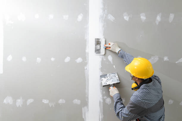 Best Black Mold Removal  in Colonial Pine Hills, SD