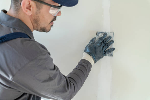 Best Asbestos and Lead Testing During Mold Inspection  in Colonial Pine Hills, SD