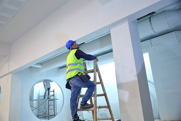 Best Mold Damage Restoration  in Colonial Pine Hills, SD